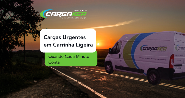 Cargas Urgentes Em Carrinha Ligeira